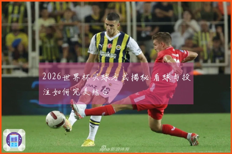 2026世界杯买球方式揭秘 看球与投注如何完美结合