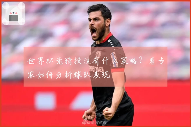 世界杯竞猜投注有什么策略？看专家如何分析球队表现