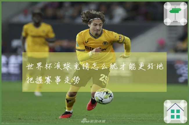 世界杯滚球竞猜怎么玩才能更好地把握赛事走势