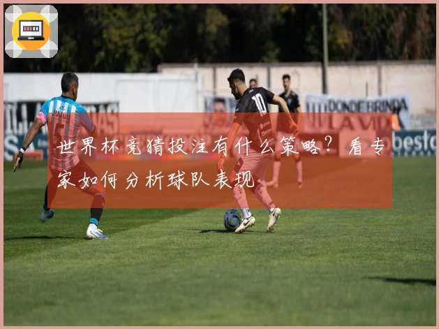 世界杯竞猜投注有什么策略？看专家如何分析球队表现