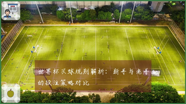 世界杯买球规则解析：新手与老手的投注策略对比