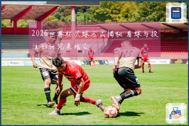 2026世界杯买球方式揭秘 看球与投注如何完美结合