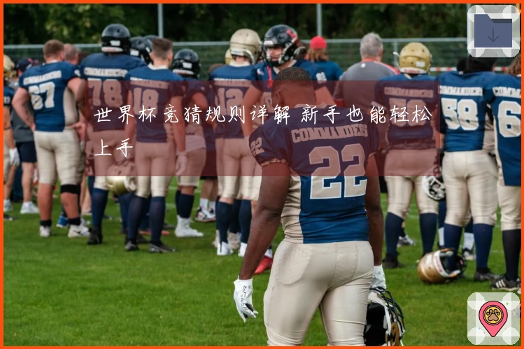 世界杯竞猜规则详解 新手也能轻松上手