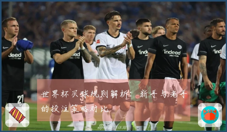 世界杯买球规则解析：新手与老手的投注策略对比
